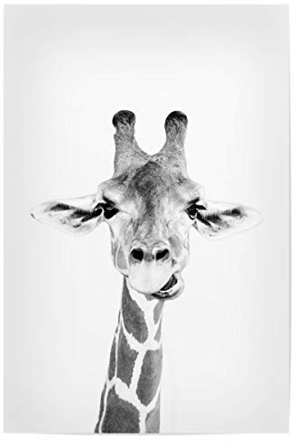 artboxONE Poster 30x20 cm Tiere Giraffes Portrait - Bild Black and White Black and White Giraffe
