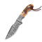 MAQSON Hochwertige Full Tang Damaszener-Stahl Jagdmesser Widderhorn Outdoor 849