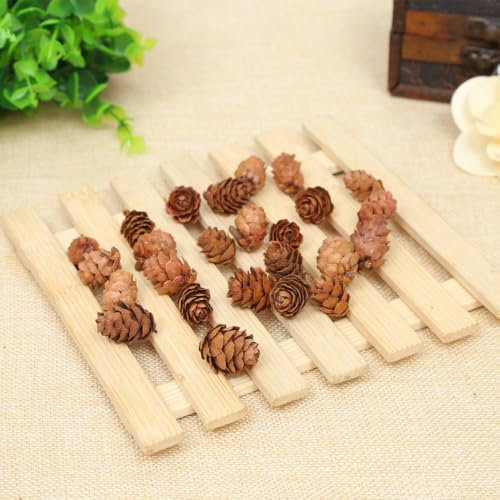 6 pigne di pino naturale, pigne di Natale, pigne di larice, per albero di Natale, 2-3 cm
