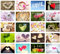 Edition Seidel Set 20 Premium Postkarten zur Hochzeit - Hochzeitsgeschenk - Liebe + Herzen – Dekoidee – Valentinstag - Geburtstag - Danke - Postkarte