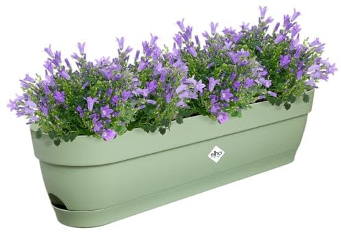 Elho Vibia Campana Balconnière 70 - Planteur pour Balcon - Ø 69.0 x H 17.0 cm - Vert/Vert Pistache