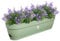 Elho Vibia Campana Balconnière 70 - Planteur pour Balcon - Ø 69.0 x H 17.0 cm - Vert/Vert Pistache