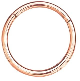 NAVZA Surgical Steel Nose Rings- Nose Hinged Hoops for Men and Women - Body Piercing Jewelry Earrings Lip Rings 6mm-7mm-8mm-9mm-10mm (Rose Gold 16g, 6mm)