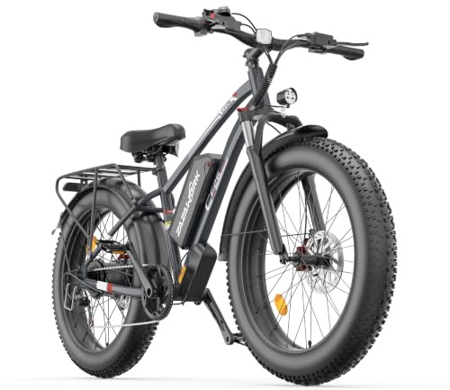 ZAZAWORK CF26 Bicicletta Elettrica Uomo 26x4.0 pollici Fatbike 48V20AH Batteria Rimovibile Mountain Bike Elettrica Pedalata Assistita 120Km Motore 250W 62Nm 7 velocità Adatto a tutti i terreni