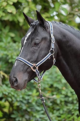 Halfter Cora dunkelblau,grau,weiß, Pony