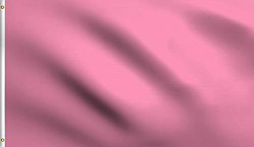 DMSE rosafarbene unbedruckte Flagge, 60 x 90 cm, UV-beständig (2 x 3 Polyester, Rosa)