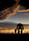 Bumblebee Movie Poster, 40 x 61 cm, 40 x 61 cm, 40 x 61 cm