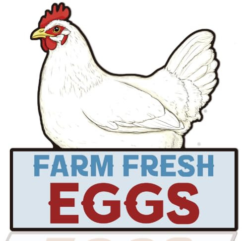 WEBEEDY Bauernhof Frische Eier Schild Hühnerstall Schild Vintage Blechschild Vintage Küchendekor Metall Hühnerschilder Vintage Schilder Zum Aufhängen An Der Wand Küche Wohnkultur 27x27cm