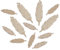 Rayher 56997000 Holz-Federn natur, 7+4cm sortiert, SB-Btl 12Stück