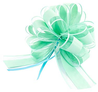 Oblique Unique® Geschenk Schleife mit Geschenkband Matt für Geschenke Tüten Zuckertüten zum Basteln Dekorieren Verzieren - Farbe wählbar (Türkis)