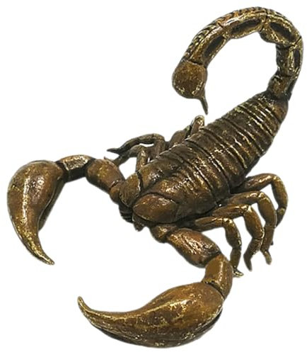 Yardwe Feng Shui Messing Mini Figur Winzige Tiere Statuen Reichtum Wohlstand Skulptur Sammlerstücke Souvenir Für Home Office Desktop