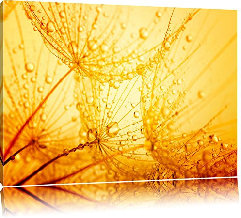 Pixxprint Pusteblumen Schirmflieger mit Tau, Größe: 80x60cm, Leinwandbild, fertig gespannt, Wandbild, Dekoration, Kunstdruck, kein Poster