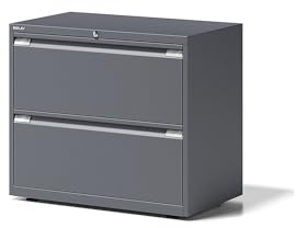 BISLEY Hängeregistraturschrank Essentials, 2 Hängeregistratur H 304 mm, Metall, 634 Anthrazitgrau, 47 x 80 x 70 cm