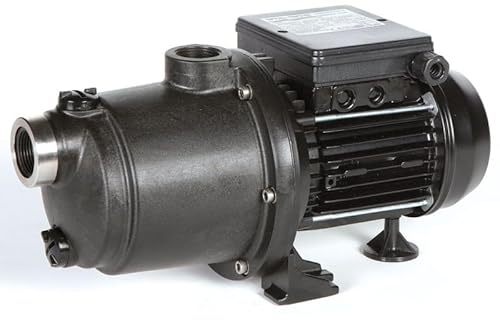 Pentair Water Pool and Spa Boost Rite 1,5 CV Mono de Catégorie Surpresseur Piscine
