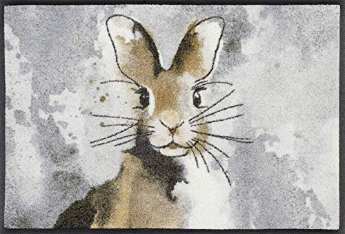wash+dry Fußmatte, Hopps 50x75 cm, innen und außen, waschbar
