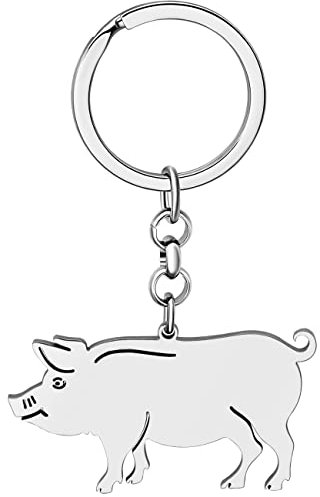 LONYOO Edelstahl Schwein Schlüsselanhänger Geldbörse Auto Schlüsselanhänger Nettes Schwein Geschenke für Schwein Liebhaber Frauen Mädchen Charms (Versilbert)