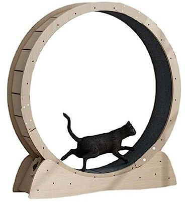 Laufband für Katzen Katzen-Übungsrad for Katzen im Innenbereich, Laufrad for Katzen, Laufband-Rad, Stabiler und leiser Lauf for die Gesundheit der Katze (Farbe : Natural, Size : 97x70x40cm)