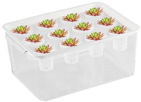 Hogvinnatil Aquaponic Pflanzer und Aquarium, Aquaponic Pflanzer und Aquarium für Fische | Pflanzen Pflanzgefäß | Betta Fischtankpflanzen Stecklinge Propagationsstation für Desktop -Dekorationen