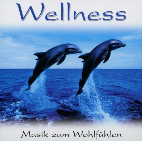 Wellness, 1 Audio-CD (Best.-Nr.5210): Musik zum Wohlfühlen