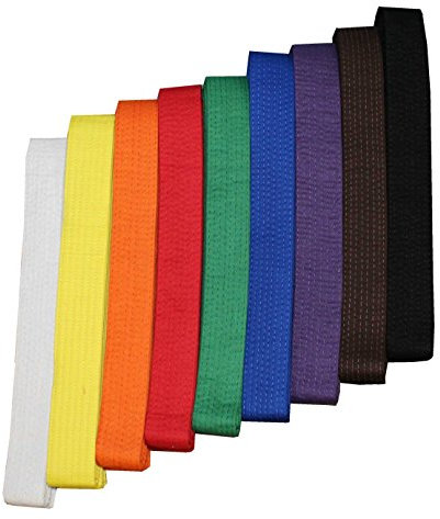 S.B.J - Sportland Budogürtel/Kampfsportgürtel rot, 260 cm