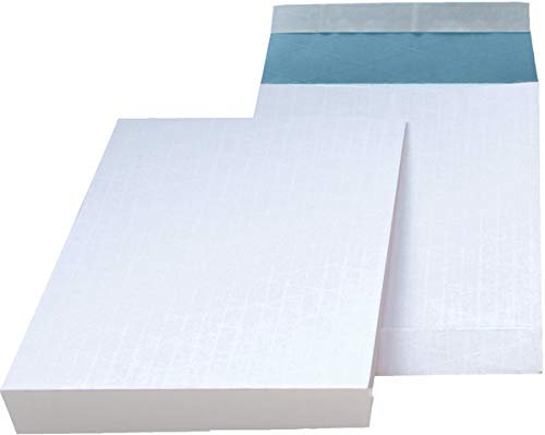 MAILmedia® Versandtasche, mit Falte, 40 mm, ohne Fenster, haftklebend, C4, 125 g/m², fadenverstärkt, weiß/blau (100 Stück), Sie erhalten 1 Packung á 100 Stück