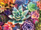 Buffalo Games 11985 Simple Succulent Puzzle, Grün, L