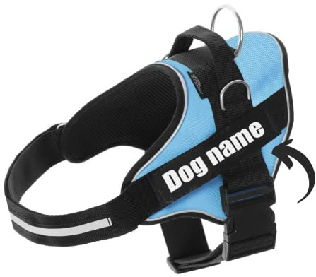 Arnes Personalizado para Perros Reflectante - Incluye 2 Etiquetas con Nombre - Tamaño Pequeño, Mediano y Grande - De Calidad y Resistente (XS 3-7KG, Azul Claro)
