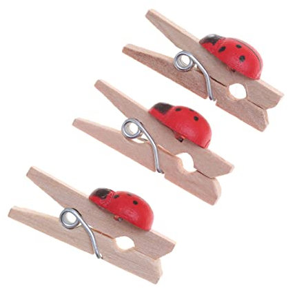 HOMSFOU 100 Pièces Chevilles En Bois Pinces Photo Support Mignon Clips Photo En Bois Pince Collation Boutons Coccinelle Artisanat Décor Coccinelle Décor Bois Mini Pinces À Linge