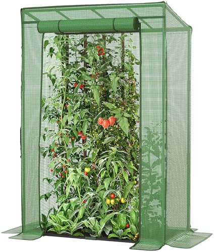 LARMNEE Serre de Jardin, Serre Tomate, avec Cadre en Acier et Film PE, Barre de Renfort sur Le Toit, Anti-Accumulation de Pluie, Entrée Enroulable, Stable et Solide, 100 x 50 x 150 cm EGN15GH02G1