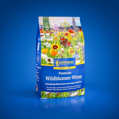 Kiepenkerl Wildblumenwiese 1089072, Rasensaat | Naturnahe Blumenmischung für Pflanzenvielfalt, mehrjährig