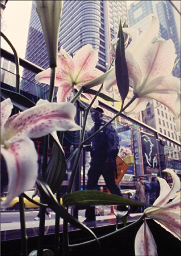 Kartenkaufrausch Fotokunst Blumen Klappkarte: New York durch die Lilie • auch zum direkt Versenden mit ihrem Text als Einleger. • schöne Klappkarte mit Umschlag als Klappkarte