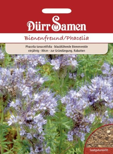Dürr-Samen - Gründüngung Phacelia Büschelschön 400 g Saatgut