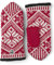 Ski Alpin Handschuh Nordic