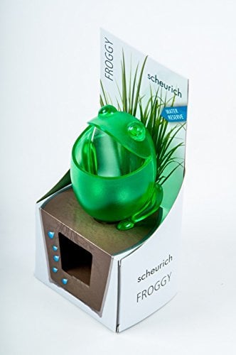 Scheurich Keramik Wasserspender Pflanzen Froggy Pflanzenbewässerung Wasserreserve Gartenhilfe 15cm, Farbe:grün