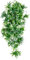 Kunstpflanze Cannabis/Hanf - Hängepflanze für Terrarien als Versteck für Ihr Terrarium - The Wind Claw Leaves Vine 30-60 cm (Medium 40 cm)