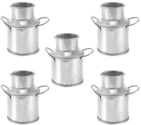 FOMIYES Accessoires 5 Pièces Mini Pot De Lait Rétro Galvanisé Pot À Lait À Fleur en Métal De Ferme Vintage Pots De Fleurs Miniatures Paysage Miniature Décor De Vase
