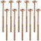 AERZETIX - C67510 - Lot de 10 Vis à bois Ø8x160mm à tête large bombée - à empreinte étoile Т40 - en acier zingué - menuiserie, contreplaqués, agglomérés, mélaminés