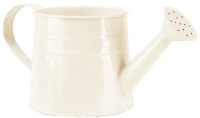 Secchio da doccia zincato, in latta con annaffiatoio piccolo vaso da fiori in metallo (A, taglia unica)