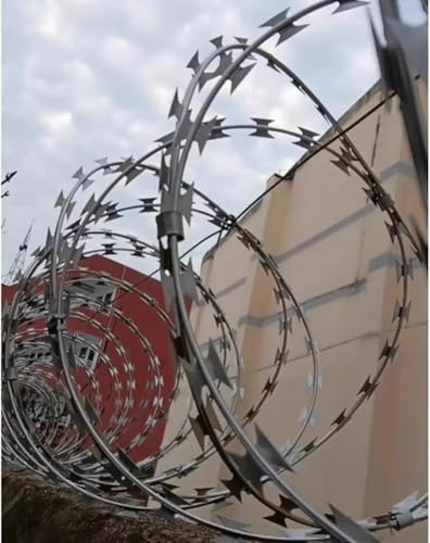 filo di acciaio a doppia elica, Filo spinato a doppia spirale argento 10-70 m(10m)