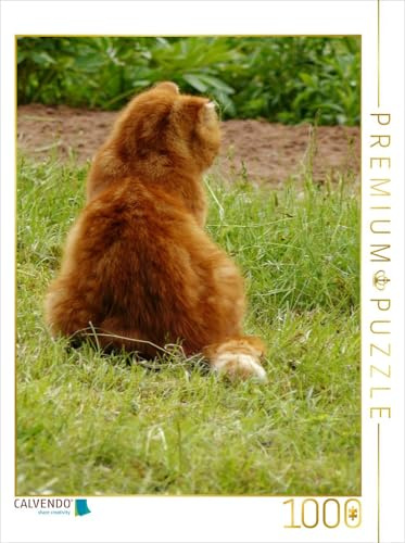 CALVENDO Puzzle Kater Felix auf Mäusejagd | 1000 Teile Lege-Größe 48 x 64 cm Foto-Puzzle für glückliche Stunden