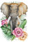 Ideen mit Herz Color Bügeltransfer, DIN A4, filigran ohne Hintergund, tropische Tiere | T-Shirts & Taschen mit Bügelmotiven verzieren | Transfer-Bilder aufbügeln | DIY Textildesign (Elefant)