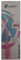 Mirandent Professional Prophylaxis - Pic-Brush Interdentalbürsten Set, Rosa Transparent – 4 Stück