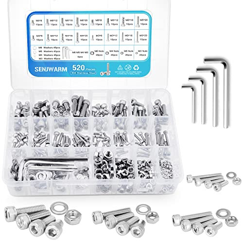 520 pezzi dadi e bulloni in acciaio inox 304 Viti a Esagono Incassato Parti Meccaniche con Testa a Bullone e Dadi, M3 M4 M5 M6, con chiavi esagonali, con scatola portaoggetti.
