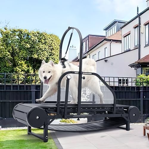 Moysoon Hunde-Laufband für große/mittelgroße Hunde, verstellbare Rampe für Hunde, Laufmaschine mit Schrittzähler für Bewegung, gesundes und passendes Haustierleben, für den Innenbereich bis zu 136 kg