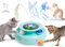 GoldenSun 3 in 1 Katzenspielzeug, Interaktives Elektrisch Automatischer Spielzeug für Katzen, Whack-A-Mole, Fluttering Butterfly, inklusive Ball, USB Wiederaufladbar Katzen Teaser mit 6 Aufsätzen