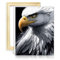 LiHEQING Ölgemälde auf Leinwand, Weißer Adler, Portrait, DIY digitales Ölgemälde-Kit auf Leinwand, Graffiti-Liebhaber-Bild, ohne Rahmen (30 x 40 cm)