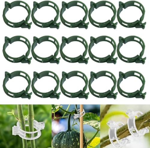 Plant Support Clips, Garden Vine Fixing Clips, Plant Fixing Clips, Tomato Clips, Plastic Garden Clips, Fixing Clips for Rock Climbing Plants (100, Green)