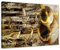 Bilderdepot24 Bild auf Leinwand | Trompete und Piano abstrakt in 60x50 cm als Wandbild | Wand-deko Dekoration Wohnung modern Bilder | 170677-60x50