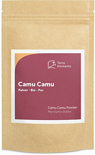Terra Elements Bio Camu Camu Pulver, 100 g I Reich an Vitamin C I 100% rein I Vegan I Rohkost