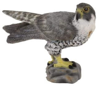 CollectA Peregrine Falcon, Bird Figure | Realistic Bird Toy, Collectable Animal Figure for Imaginative Play, Gift for Kids Age 3+